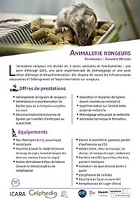 Fiche animalerie rongeur